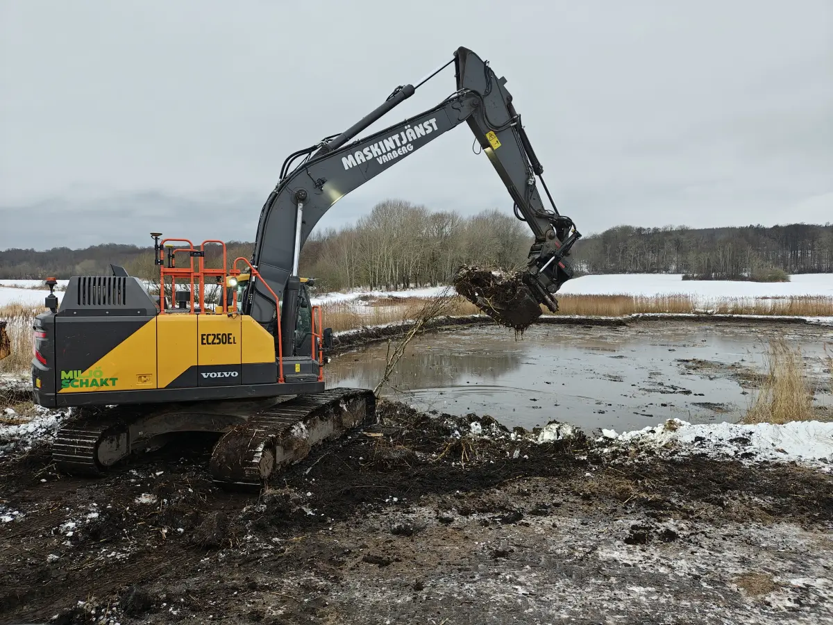 Renovering våtmark