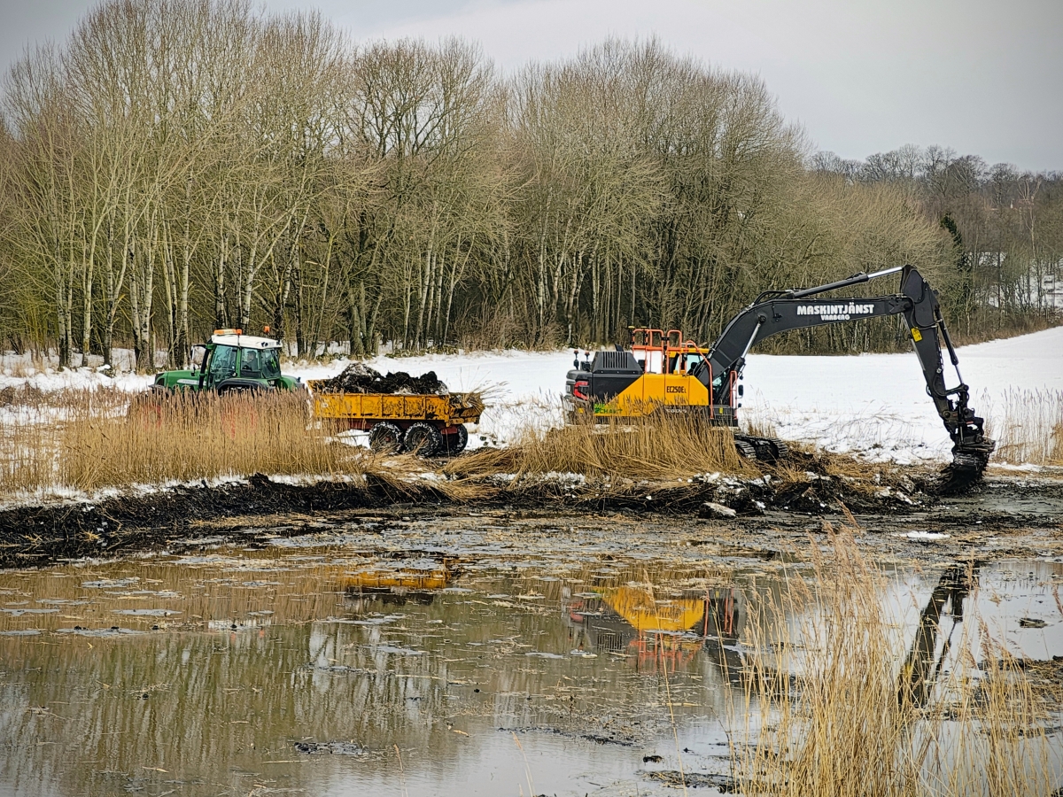 Renovering våtmark