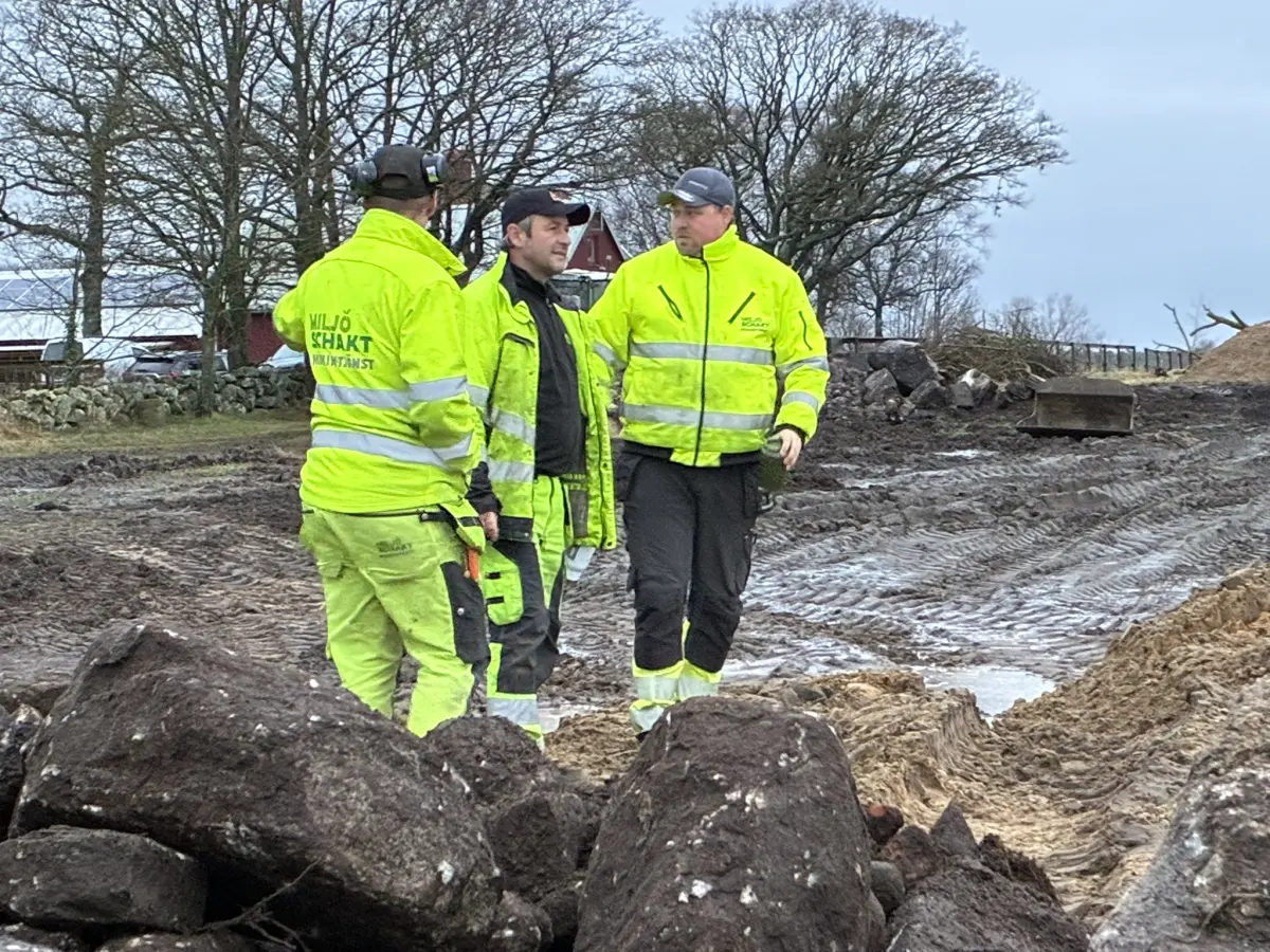 Skapande av våtmark
